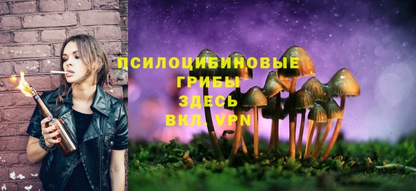 таблы Алзамай