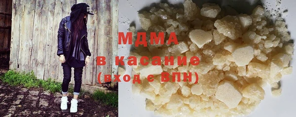 индика Алексин