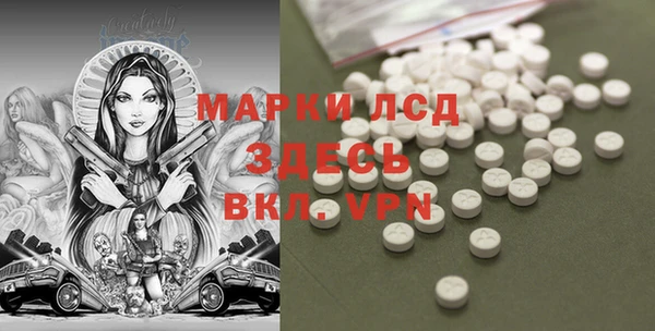 индика Алексин