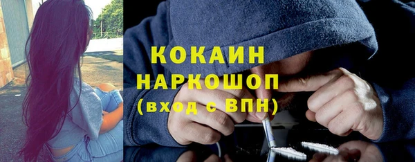 индика Алексин