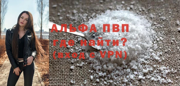 индика Алексин