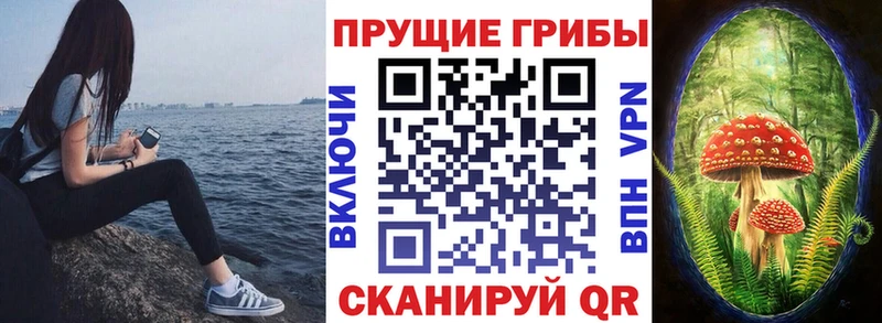 Псилоцибиновые грибы мицелий купить наркотики цена Ступино