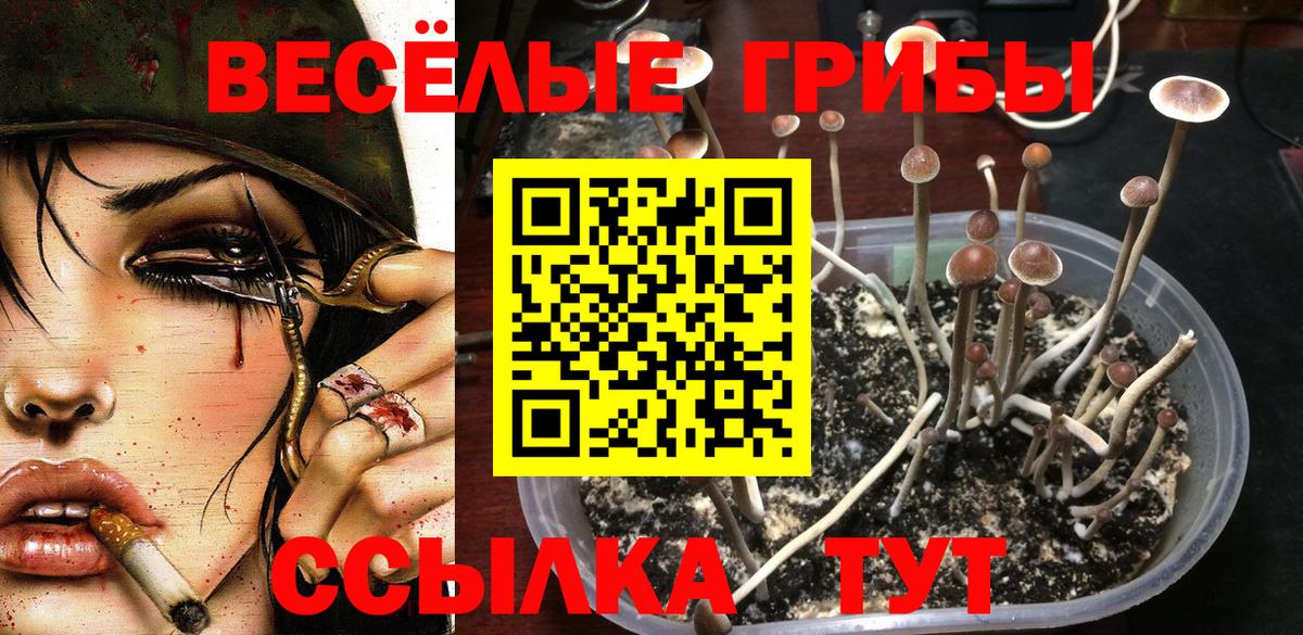 Псилоцибиновые грибы мицелий  Галлюциногенные грибы GOLDEN TEACHER  Ступино  Вход с VPN 